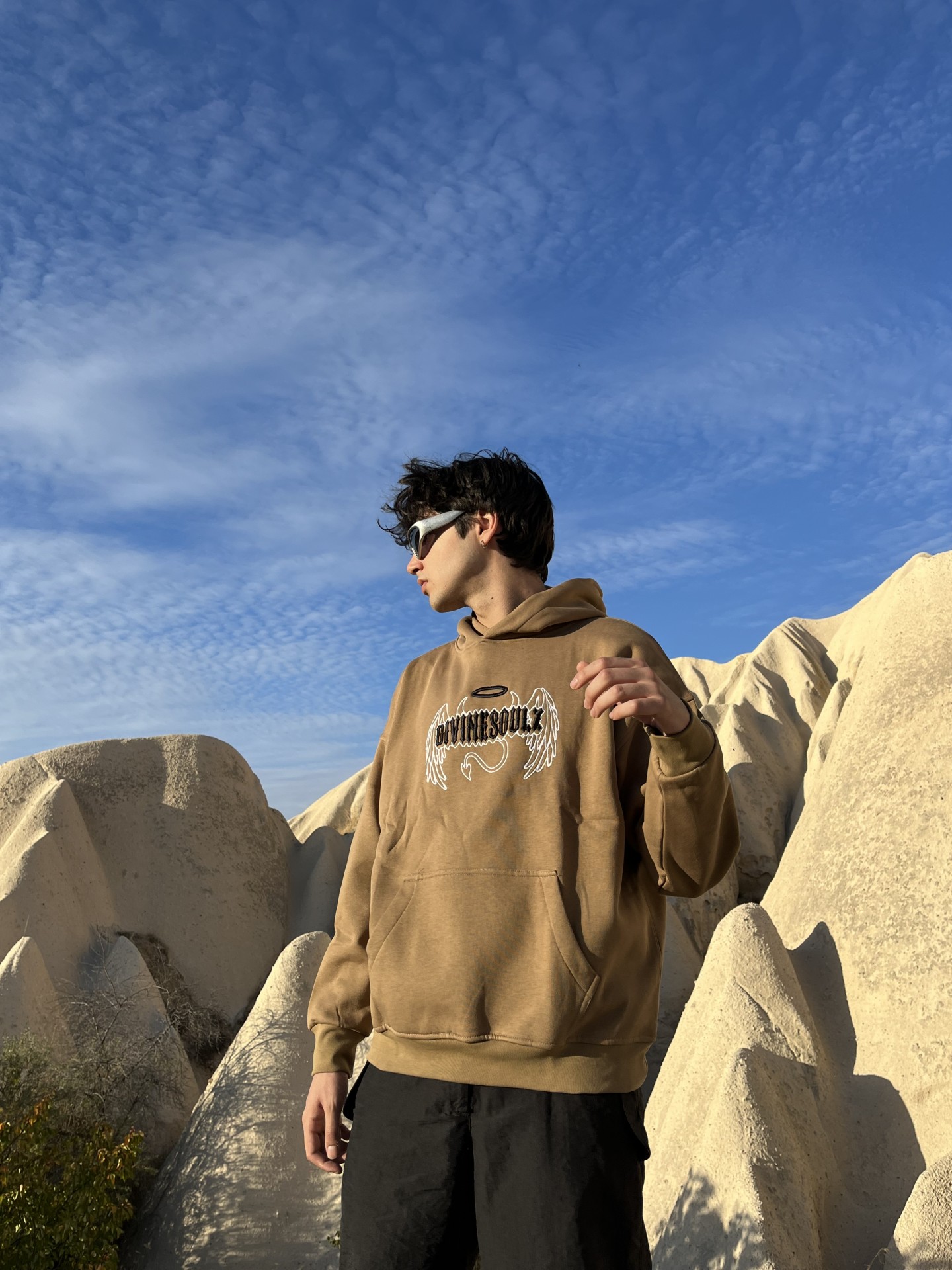 Divine Soul Wings Brown Hoodie